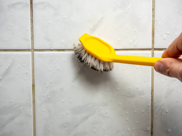 Best Affordable Mold Removal  in Brewster Heights, NY
