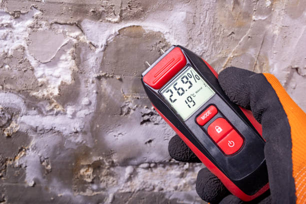 Best Residential Mold Removal  in Brewster Heights, NY