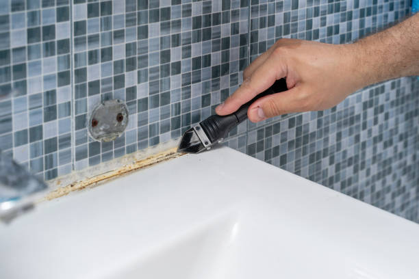 Best Same-Day Mold Removal  in Brewster Heights, NY